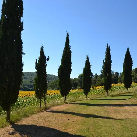 Le Caggia Sovicille
